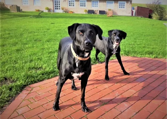 Casa de Férias Deichhaus Bullerbue *
